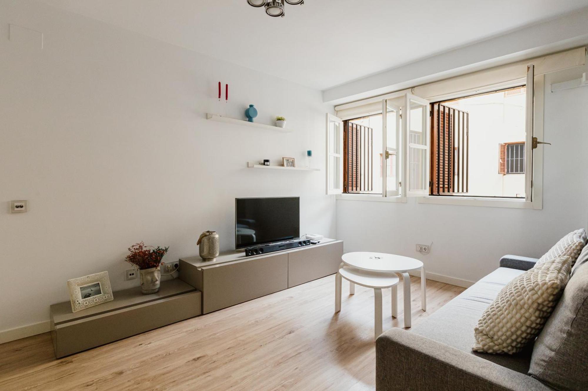 Modern And Functional In Sierpes Centro